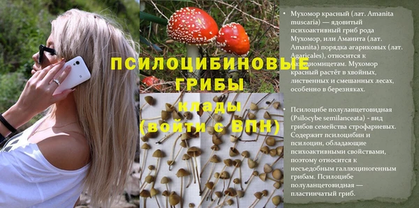 a pvp Краснотурьинск